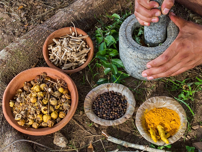 Panchakarma (Ayurvedic Detox Programme) Ayurvedic Cooking