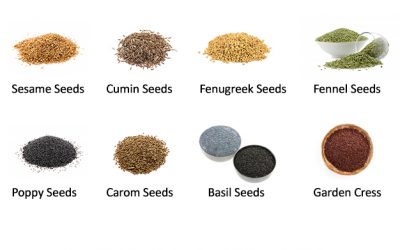 8 Powerful Seeds in Ayurveda With Natural Healing Benefits